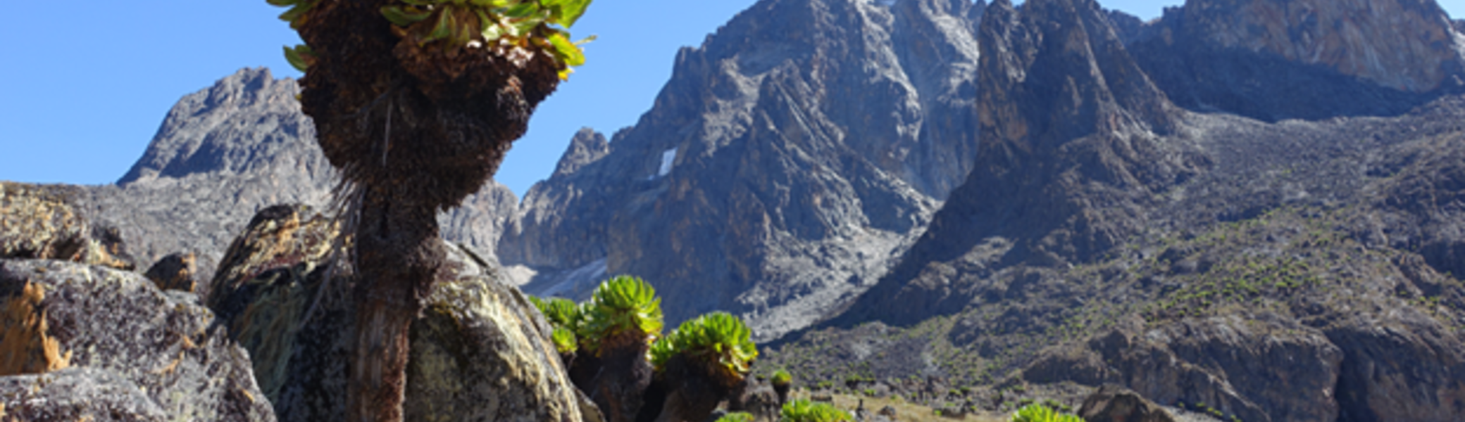 Mount Kenia | © Claus Haberda