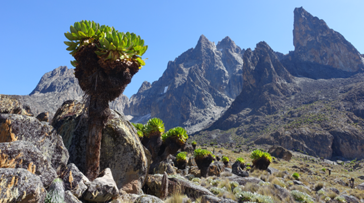 Mount Kenia | © Claus Haberda